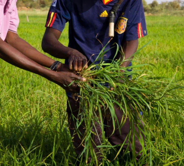 dl.beatsnoop.com-3000-5hTDjbSumL