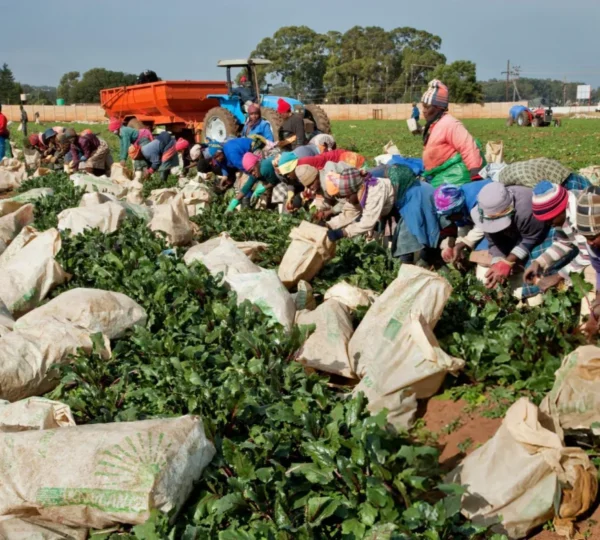 dl.beatsnoop.com-3000-EM85tU2lGX