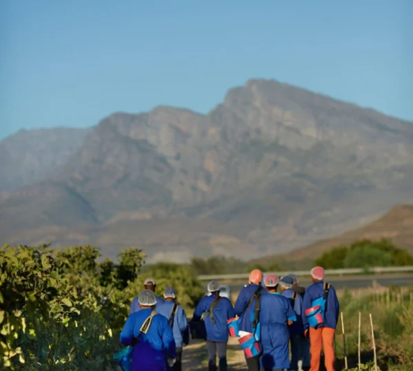 dl.beatsnoop.com-3000-Qr2qIAdDTZ